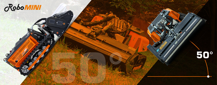 RoboMINI
