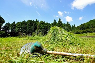 草刈りイメージ